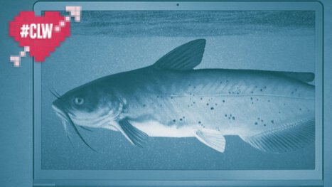 Here's How to Not Get Catfished when Dating